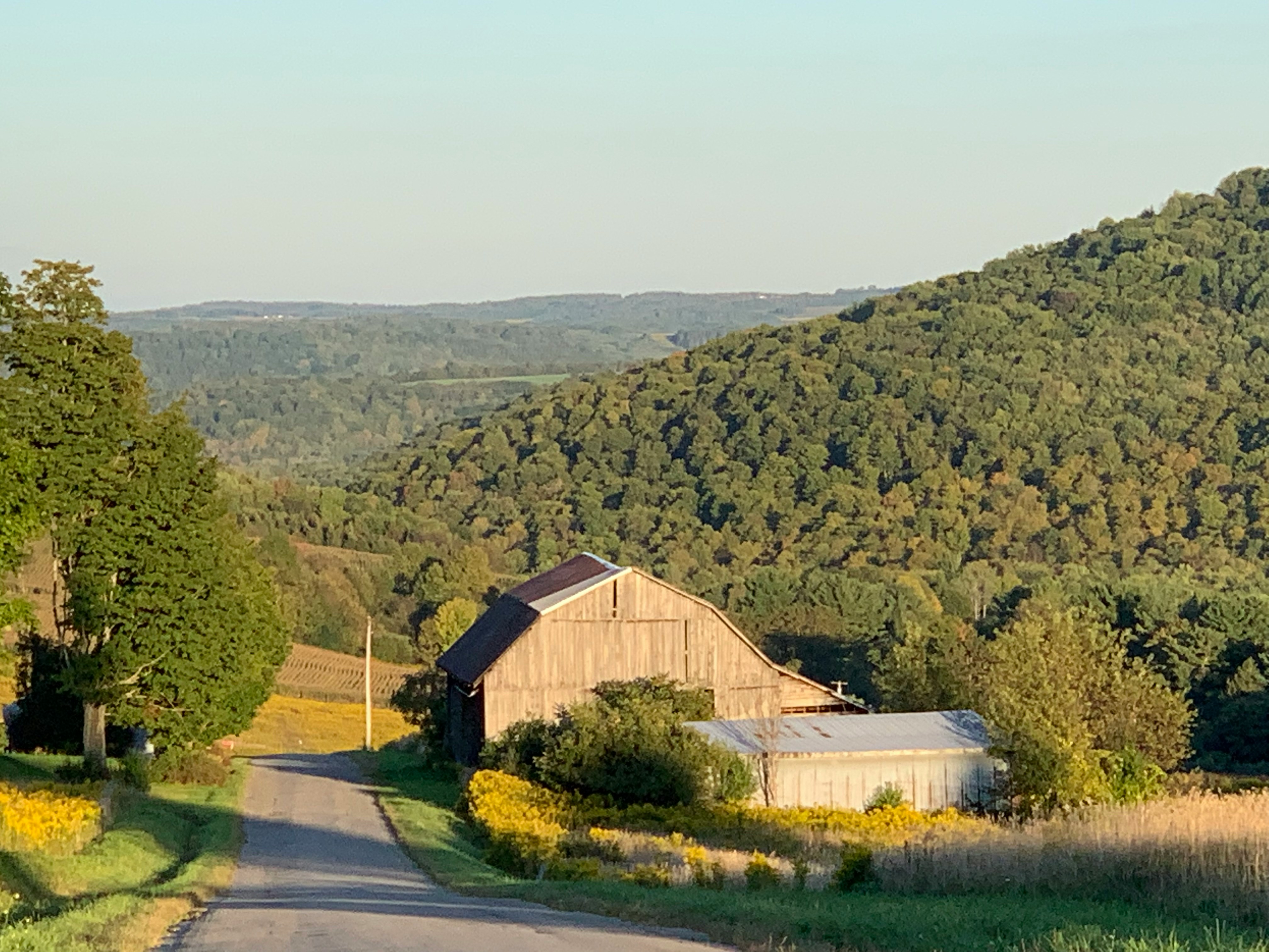 Comprehensive Insurance and Financial Planning for Farm Family